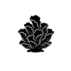 Foliose / Leafy