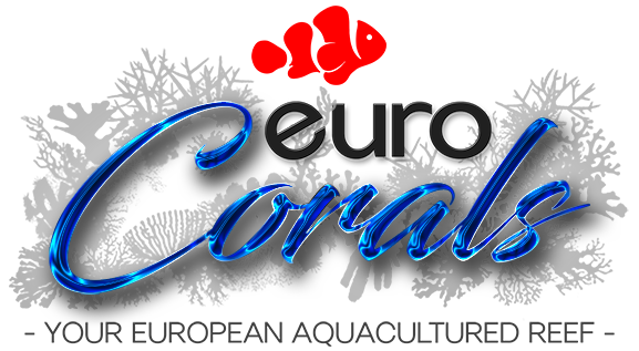 Euro Corals